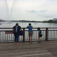 久喜菖蒲公園 の写真