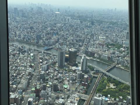 子連れにおすすめ東京観光30選 子供から大人まで楽しめる施設や小学生に人気スポットも 子連れのおでかけ 子どもの遊び場探しならコモリブ 子連れにおすすめ東京観光30選 子供から大人まで楽しめる施設や小学生に人気スポットも 子連れのおでかけ 子どもの遊び場探しならコモリブ