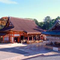 八坂神社 の写真 (3)