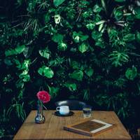 SAPPORO FLOWER &CAFE (サッポロ フラワー&カフェ) の写真 (3)