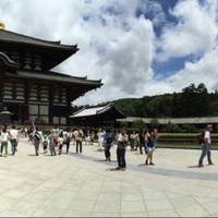 東大寺 の写真 (2)