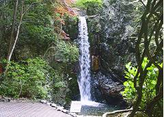 兵庫県神戸の川遊びスポット12選。六甲山近くの川遊びや水遊びができる場所も紹介。