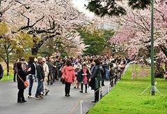 東京都内で見学できる官公庁12選。国会議事堂など、小学生の子供も楽しい社会科見学コース。