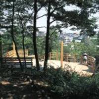 王禅寺ふるさと公園（おうぜんじふるさとこうえん） の写真 (3)