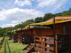 パディントン ベア キャンプグラウンド 子連れのおでかけ 子どもの遊び場探しならコモリブ