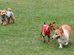 岡山の子連れにおすすめな公園10選！水遊びができる公園も