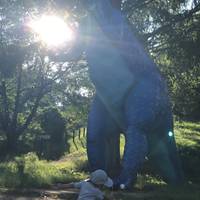 茶臼山恐竜公園 の写真 (1)