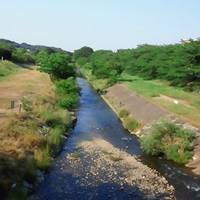 清瀬金山緑地公園 の写真 (2)
