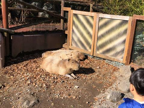 静岡 お出かけ 子供 と 静岡の雨の日子連れお出かけスポットおすすめ10選