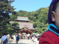 鶴岡八幡宮 子連れのおでかけ 子どもの遊び場探しならコモリブ 鶴岡八幡宮 子連れのおでかけ 子どもの遊び場探しならコモリブ
