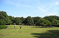 県立東高根森林公園