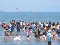 御殿場海岸 潮干狩り場 子連れのおでかけ 子どもの遊び場探しならコモリブ 御殿場海岸 潮干狩り場 子連れのおでかけ 子どもの遊び場探しならコモリブ