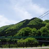 もみじ谷大吊橋 の写真 (2)