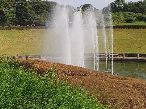 茨城県の子連れ遊び場30選 水戸市の公園や観光におすすめな子供向けイベント開催市施設も 子連れのおでかけ 子どもの遊び場探しならコモリブ 茨城県の子連れ遊び場30選 水戸市の公園や観光におすすめな子供向けイベント開催市施設も 子連れのおでかけ 子どもの遊び場探しならコモリブ
