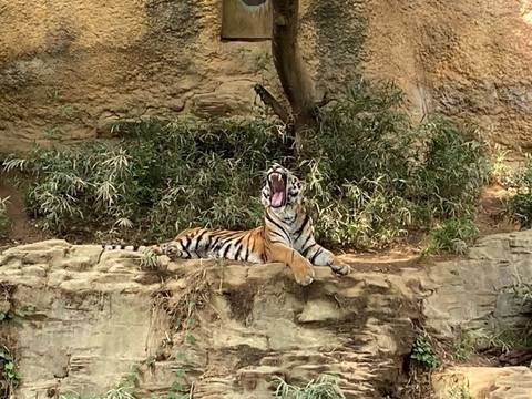 東京都内のふれあい動物がある場所14選 モルモットやうさぎなどに餌やりができるところも 3 子連れのおでかけ 子どもの遊び場探しならコモリブ