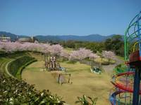 亀山公園 の写真 (2)