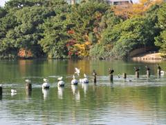 大濠公園