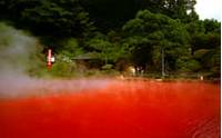 血の池地獄 の写真 (2)