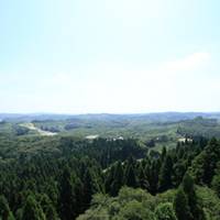 大亀山森林公園 の写真 (3)