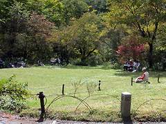 日光植物園