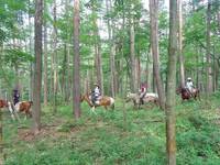 カナディアンキャンプ乗馬クラブ八ヶ岳 の写真 (1)