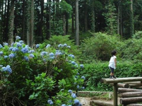 神戸のおすすめ子連れ遊び場 お出かけスポット25選 観光名所から子供イベント開催施設も 子連れのおでかけ 子どもの遊び場探しならコモリブ 神戸のおすすめ子連れ遊び場 お出かけスポット25選 観光名所から子供イベント開催施設も 子連れのおでかけ 子どもの遊び場探しならコモリブ