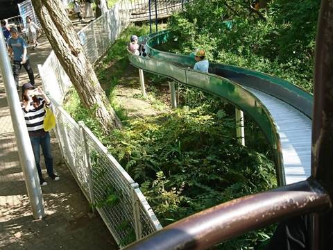 関西でカブトムシが採れる場所9選 大阪にあるキャンプ場や公園もご紹介 子連れのおでかけ 子どもの遊び場探しならコモリブ 関西でカブトムシが採れる場所9選 大阪にあるキャンプ場や公園もご紹介 子連れのおでかけ 子どもの遊び場探しならコモリブ