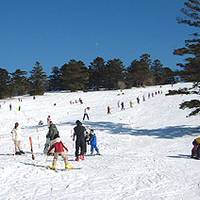 県立もみのき森林公園スキー場 の写真 (2)