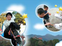 那須りんどう湖レイクビュー 子連れのおでかけ 子どもの遊び場探しならコモリブ 那須りんどう湖レイクビュー 子連れのおでかけ 子どもの遊び場探しならコモリブ