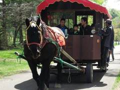 ばんえい十勝（帯広競馬場）