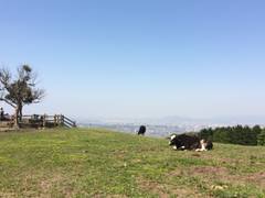 もーもーらんど油山牧場