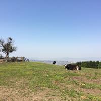もーもーらんど油山牧場