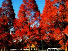 豊橋で子供に人気の遊び場 公園17選 雨でも楽しめる屋内アスレチックやイベント開催も 2 子連れのおでかけ 子どもの遊び場探しならコモリブ 豊橋で子供に人気の遊び場 公園17選 雨でも楽しめる屋内アスレチックやイベント開催も 2 子連れのおでかけ 子どもの遊び場探しならコモリブ