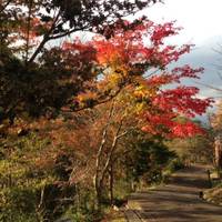 広島市森林公園