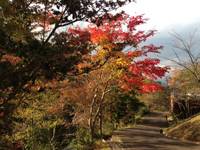 広島市森林公園 の写真 (3)