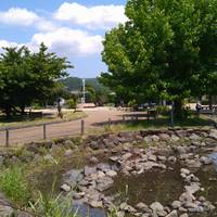 狩野川リバーサイドパーク の写真 (1)