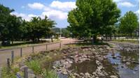 狩野川リバーサイドパーク の写真