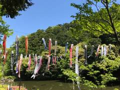 鎌倉の子連れで楽しむ遊び場＆観光30選！家族のおでかけにぴったりなスポット多数