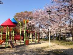 名古屋の桜が見えるおすすめ公園6選！お花見を楽しもう