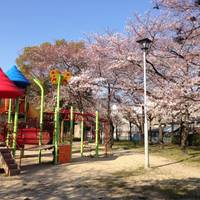 木ヶ崎公園（きがさきこうえん） の写真 (1)