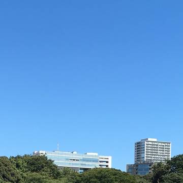 新宿御苑 子連れのおでかけ 子どもの遊び場探しならコモリブ