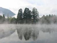 金鱗湖(きんりんこ) の写真 (2)