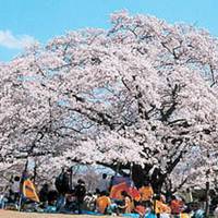 三神峯公園 の写真 (3)