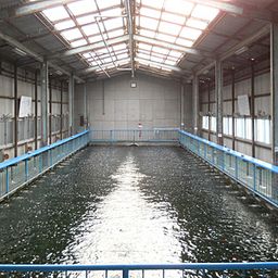 大阪の子連れで行ける釣り堀10選 室内釣り 海釣り 駅近くの釣堀も Comolib Magazine 大阪の子連れで行ける釣り堀10選 室内釣り 海釣り 駅近くの釣堀も Comolib Magazine