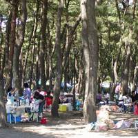 上大島キャンプ場 の写真 (2)