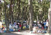 上大島キャンプ場 の写真 (2)