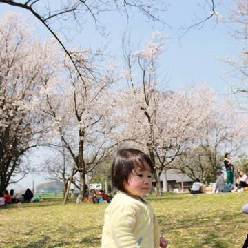 大分で子供と楽しめる川遊び 水遊び11選 綺麗に整備された公園施設から穴場まで 子連れのおでかけ 子どもの遊び場探しならコモリブ