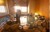 天然温泉 けやきの湯 ドーミーイン津 の写真 (1)