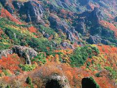 香川県の子どもと行きたい紅葉スポットおすすめ10選 子連れのおでかけ 子どもの遊び場探しならコモリブ 香川県の子どもと行きたい紅葉スポットおすすめ10選 子連れのおでかけ 子どもの遊び場探しならコモリブ