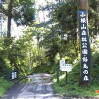 小根山森林公園(おねやま) の写真 (2)